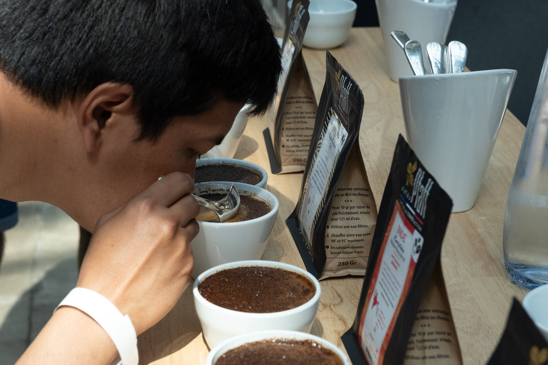 Coffee Cupping 