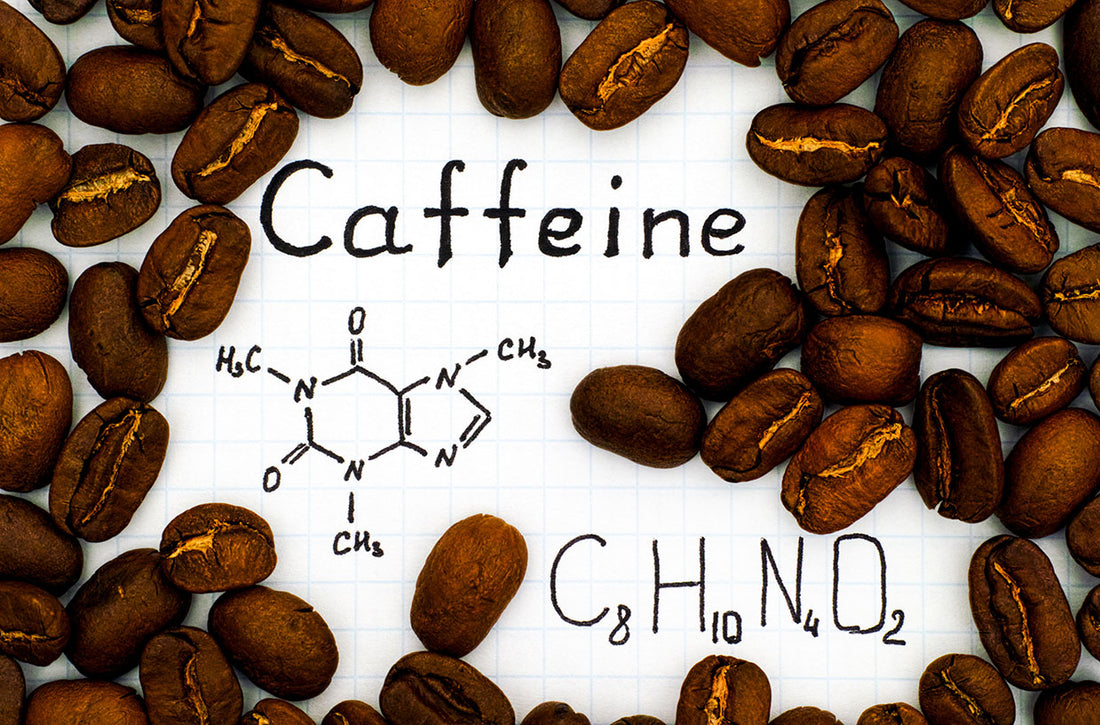 How Much Caffeine is in Coffee