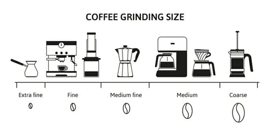 Coffee Grind Sizes by Brew Method: The No-Guess Guide to Better Cups