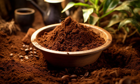 Rejuvenate Your Garden with Coffee Grounds